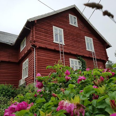 Haugtun Gardspensjonat Og Leiligheter Nordre Land Esterno foto
