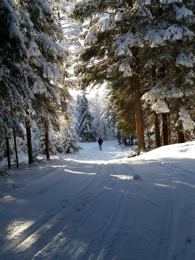 Haugtun Gardspensjonat Og Leiligheter Nordre Land Esterno foto