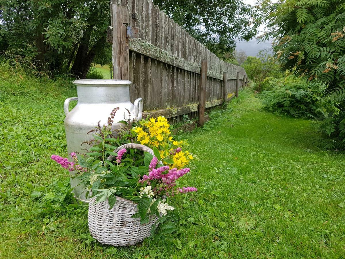 Haugtun Gardspensjonat Og Leiligheter Nordre Land Esterno foto