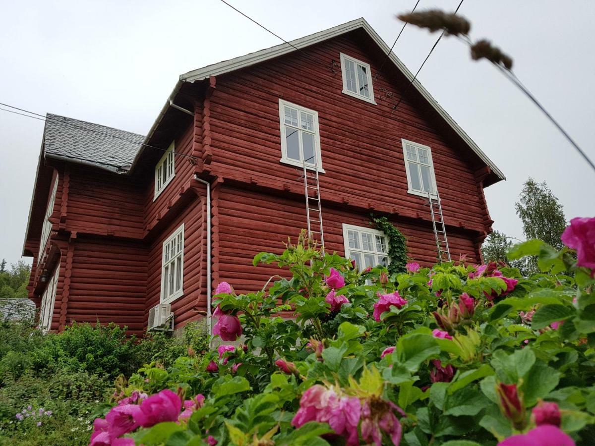 Haugtun Gardspensjonat Og Leiligheter Nordre Land Esterno foto
