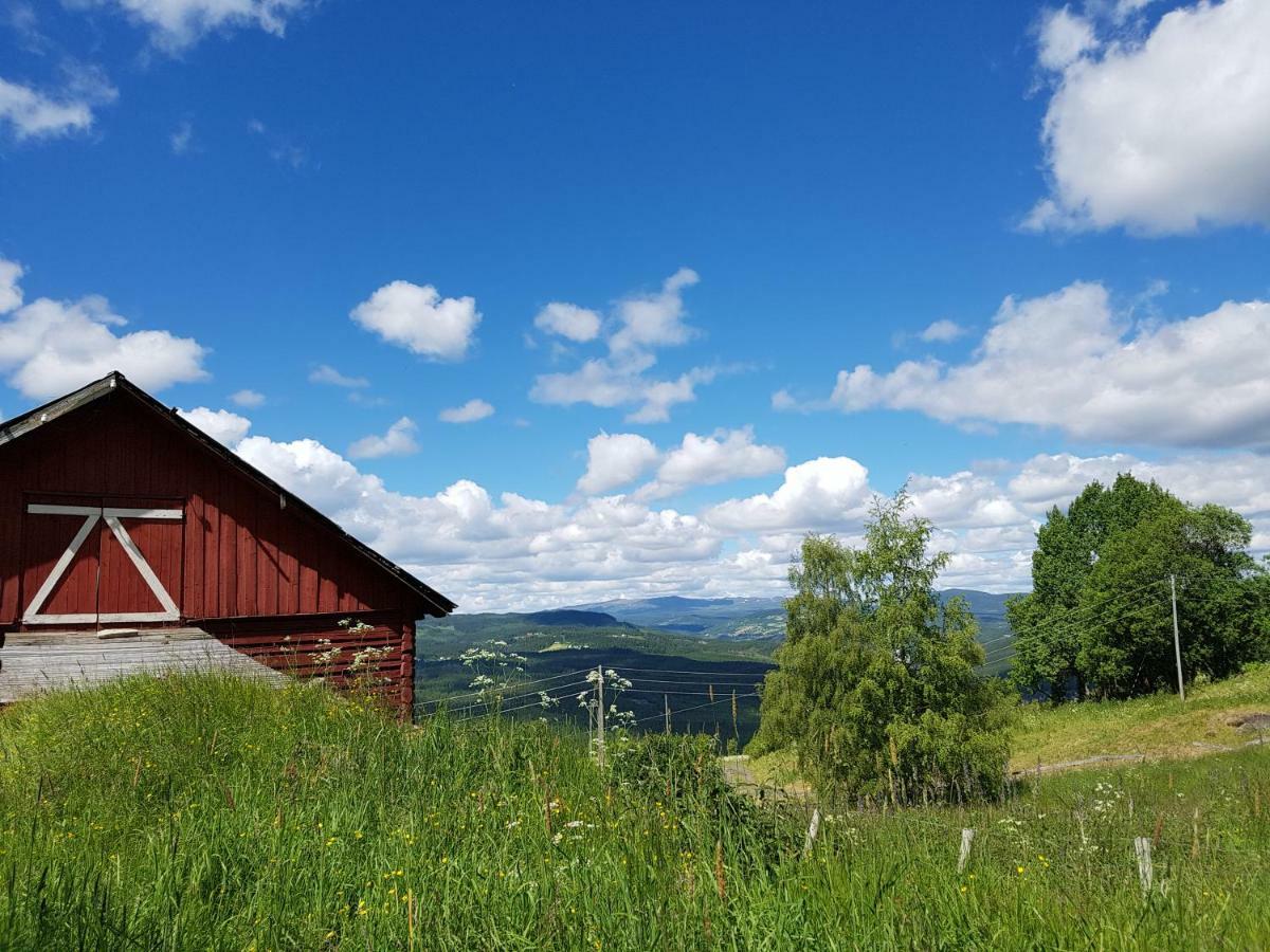Haugtun Gardspensjonat Og Leiligheter Nordre Land Esterno foto