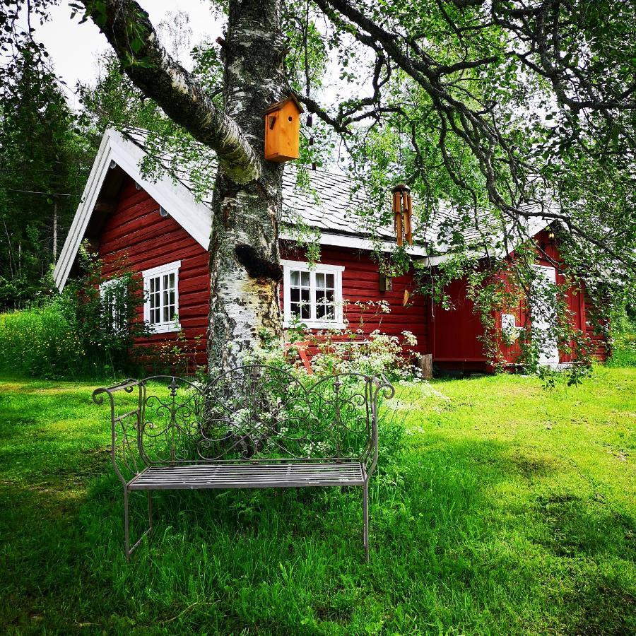 Haugtun Gardspensjonat Og Leiligheter Nordre Land Esterno foto